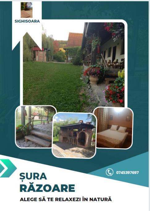 Vila Sura Razoare 锡吉什瓦拉 外观 照片